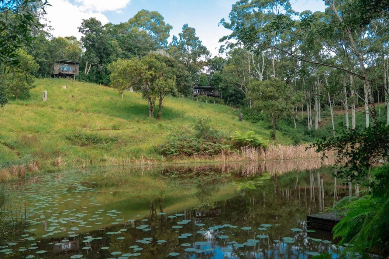 Whispering Valley Cottage Retreat เมลเลนี ภายนอก รูปภาพ