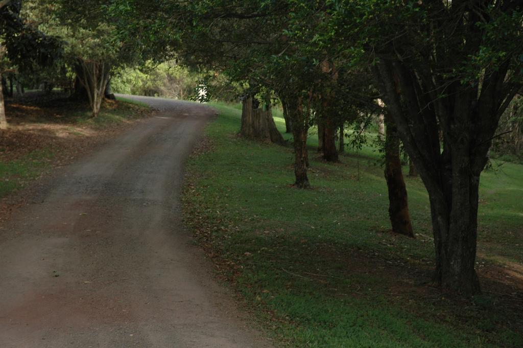 Whispering Valley Cottage Retreat เมลเลนี ภายนอก รูปภาพ