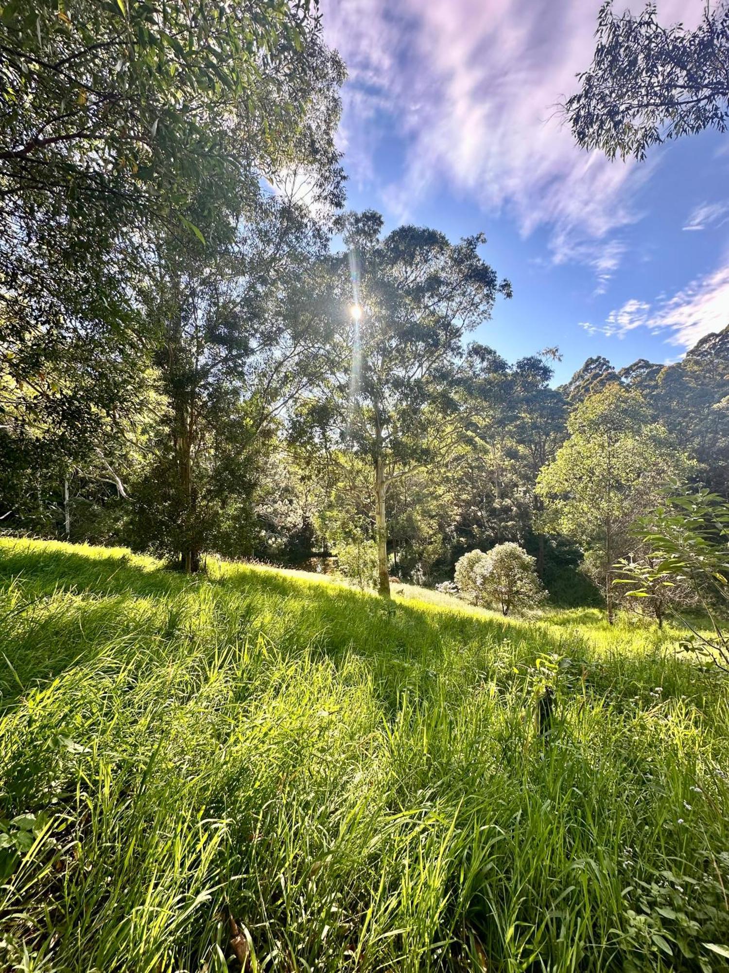 Whispering Valley Cottage Retreat เมลเลนี ภายนอก รูปภาพ